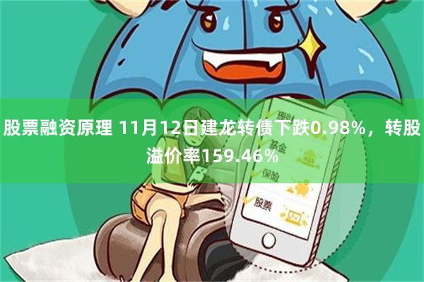 股票融资原理 11月12日建龙转债下跌0.98%，转股溢价率159.46%