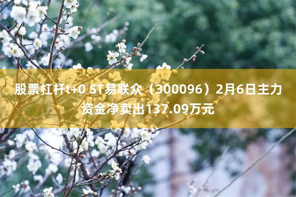 股票杠杆t+0 ST易联众（300096）2月6日主力资金净卖出137.09万元