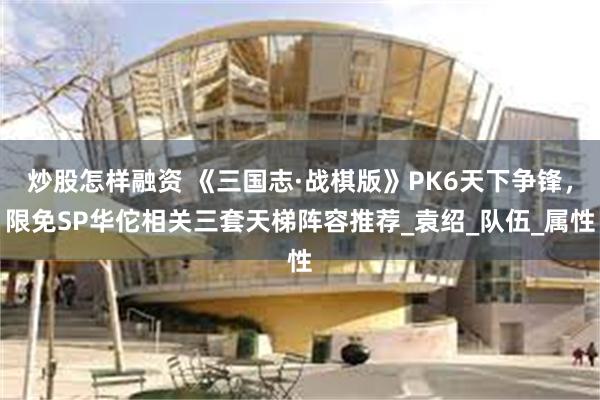 炒股怎样融资 《三国志·战棋版》PK6天下争锋，限免SP华佗相关三套天梯阵容推荐_袁绍_队伍_属性