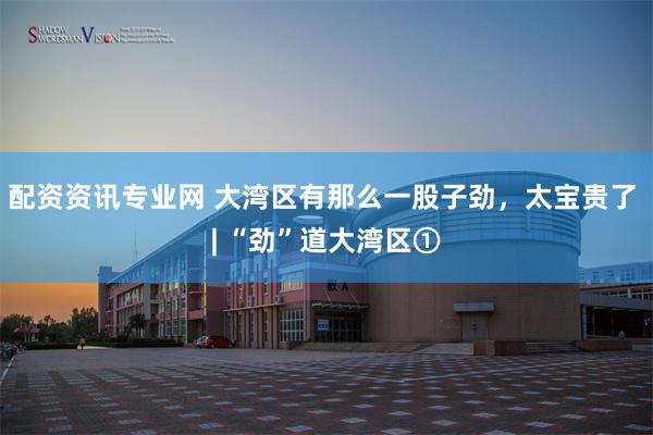 配资资讯专业网 大湾区有那么一股子劲，太宝贵了 | “劲”道大湾区①