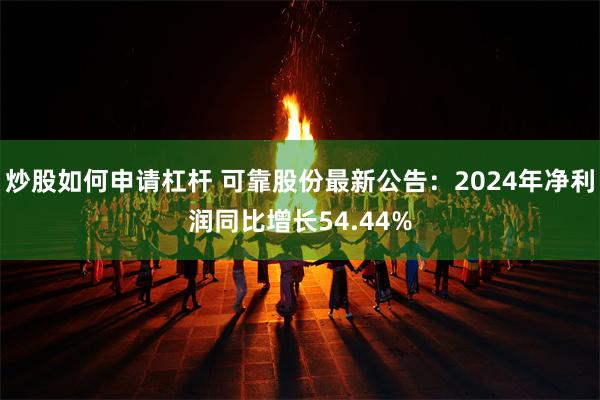 炒股如何申请杠杆 可靠股份最新公告：2024年净利润同比增长54.44%