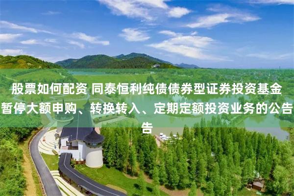 股票如何配资 同泰恒利纯债债券型证券投资基金暂停大额申购、转换转入、定期定额投资业务的公告