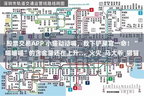 股票交易APP 小猫动动嘴，救下铲屎官一命！“喵喵喵”的含金量还在上升…_火灾_马大爷_猫猫