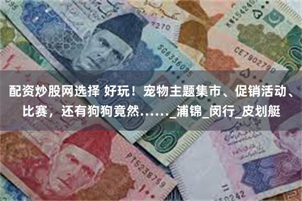 配资炒股网选择 好玩！宠物主题集市、促销活动、比赛，还有狗狗竟然……_浦锦_闵行_皮划艇