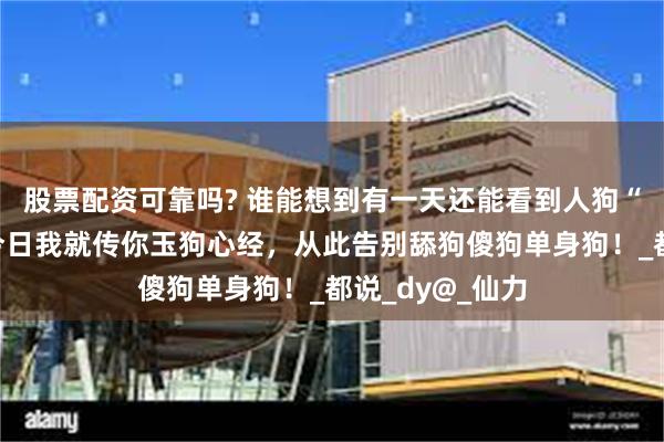 股票配资可靠吗? 谁能想到有一天还能看到人狗“双修”，狗：今日我就传你玉狗心经，从此告别舔狗傻狗单身狗！_都说_dy@_仙力