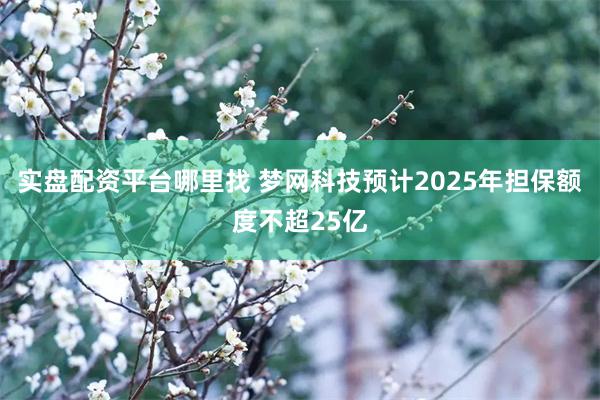 实盘配资平台哪里找 梦网科技预计2025年担保额度不超25亿