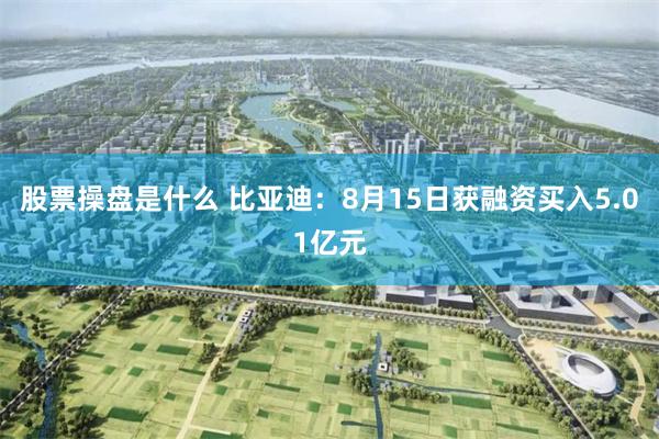 股票操盘是什么 比亚迪：8月15日获融资买入5.01亿元